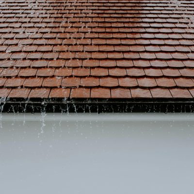 pexels-adrien-olichon-1257089-2663254