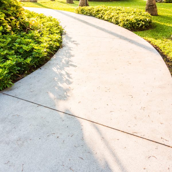 Stone path way in the garden decoration outdoor view